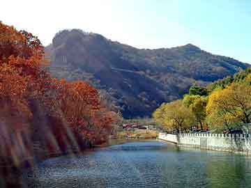 澳门精准正版免费大全14年新，两生花祭